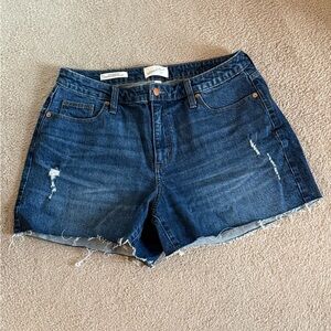 Universal Thread Women's Jean Shorts
Size 12
